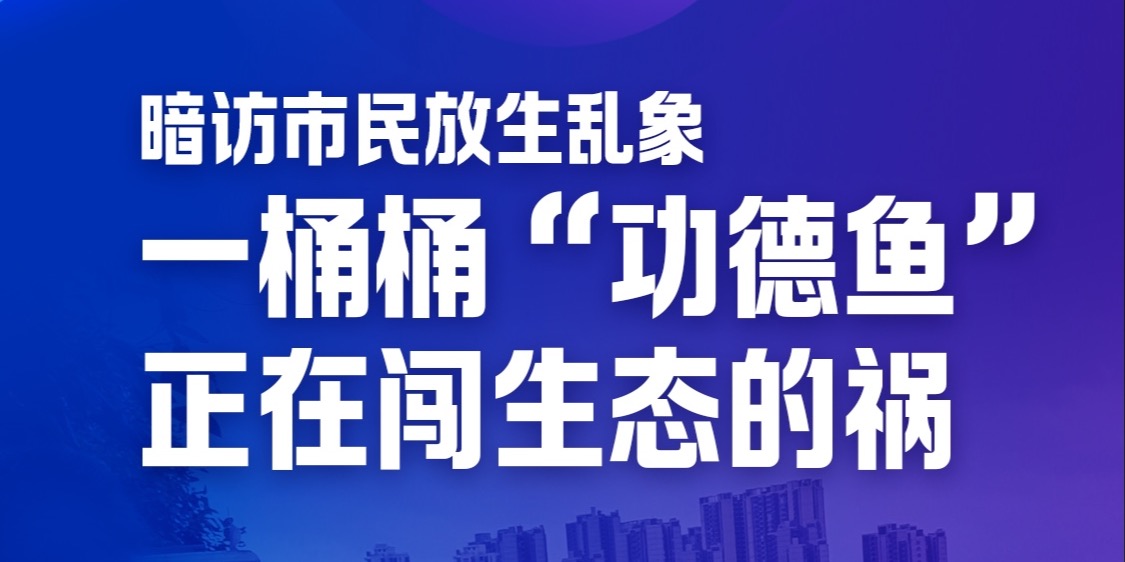 专题头图
